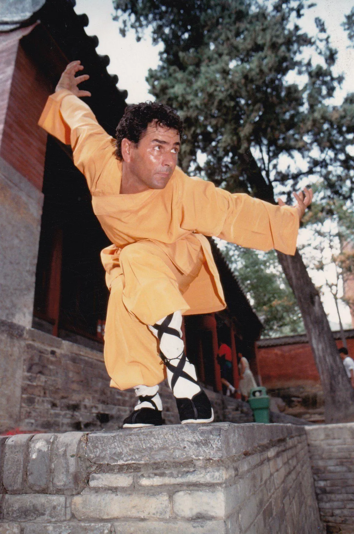 Maestro Giancarlo Manca You Li Tai — foto 2