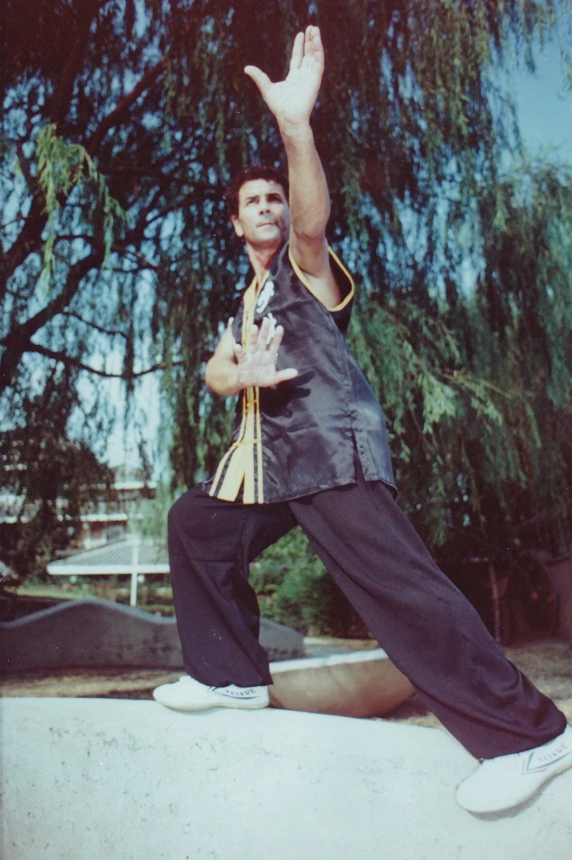 Maestro Giancarlo Manca You Li Tai — foto 10