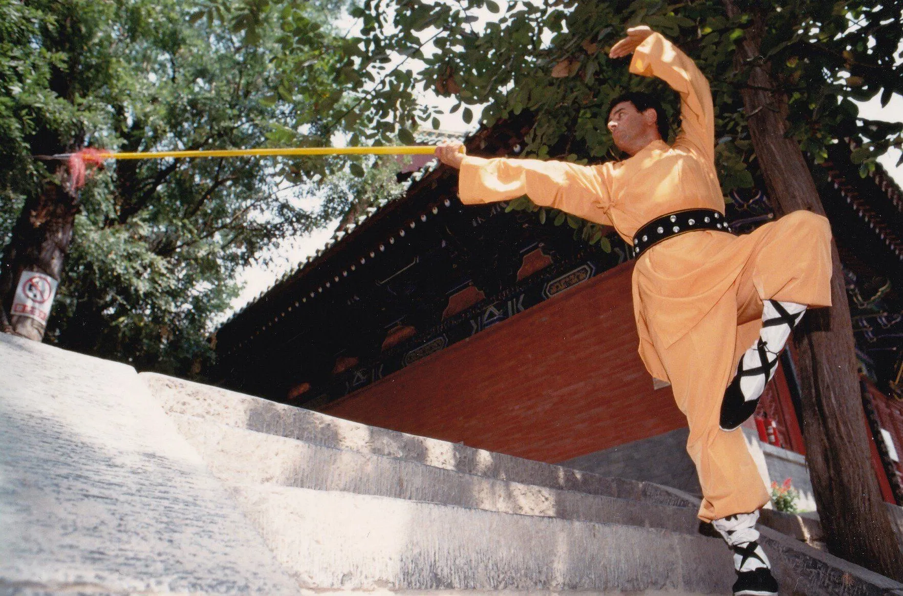 Maestro Giancarlo Manca You Li Tai — foto 7