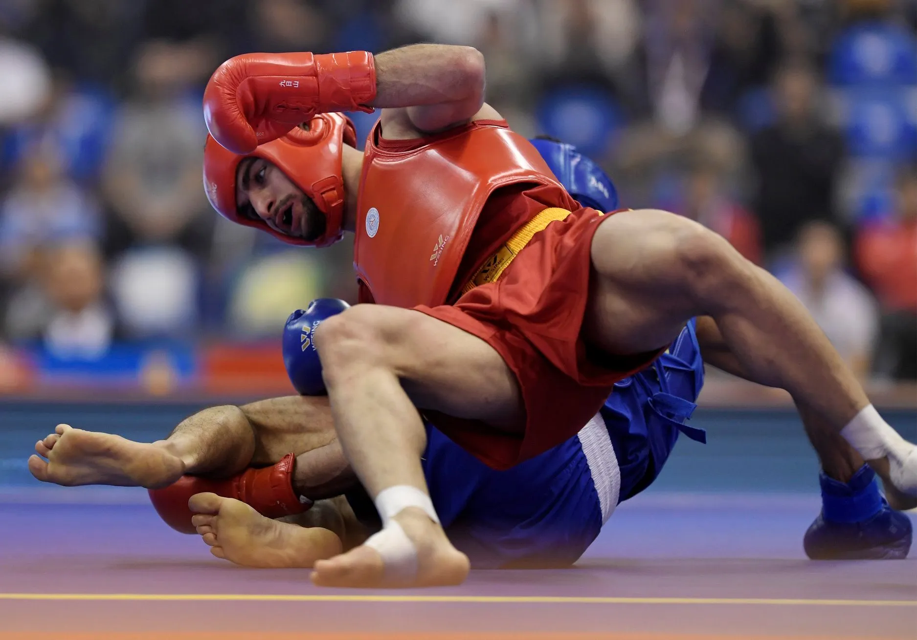 15° Campionato Mondiale Wushu Sanda — competizione internazionale arti marziali cinesi